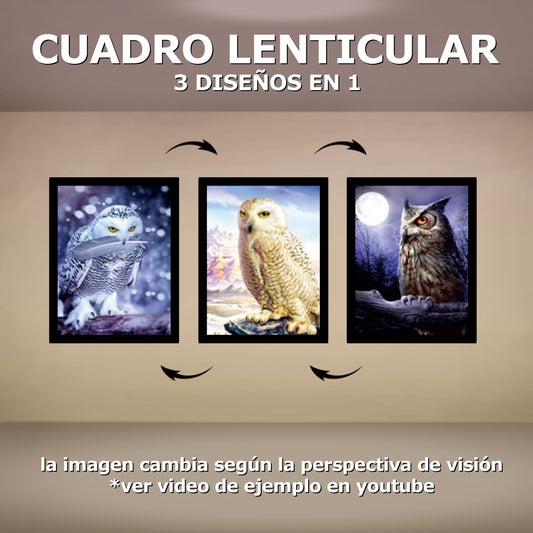 Cuadro Lenticular Estandar  (Incluye Poster Lenticular + Marco + Caja Individual Con Protección)