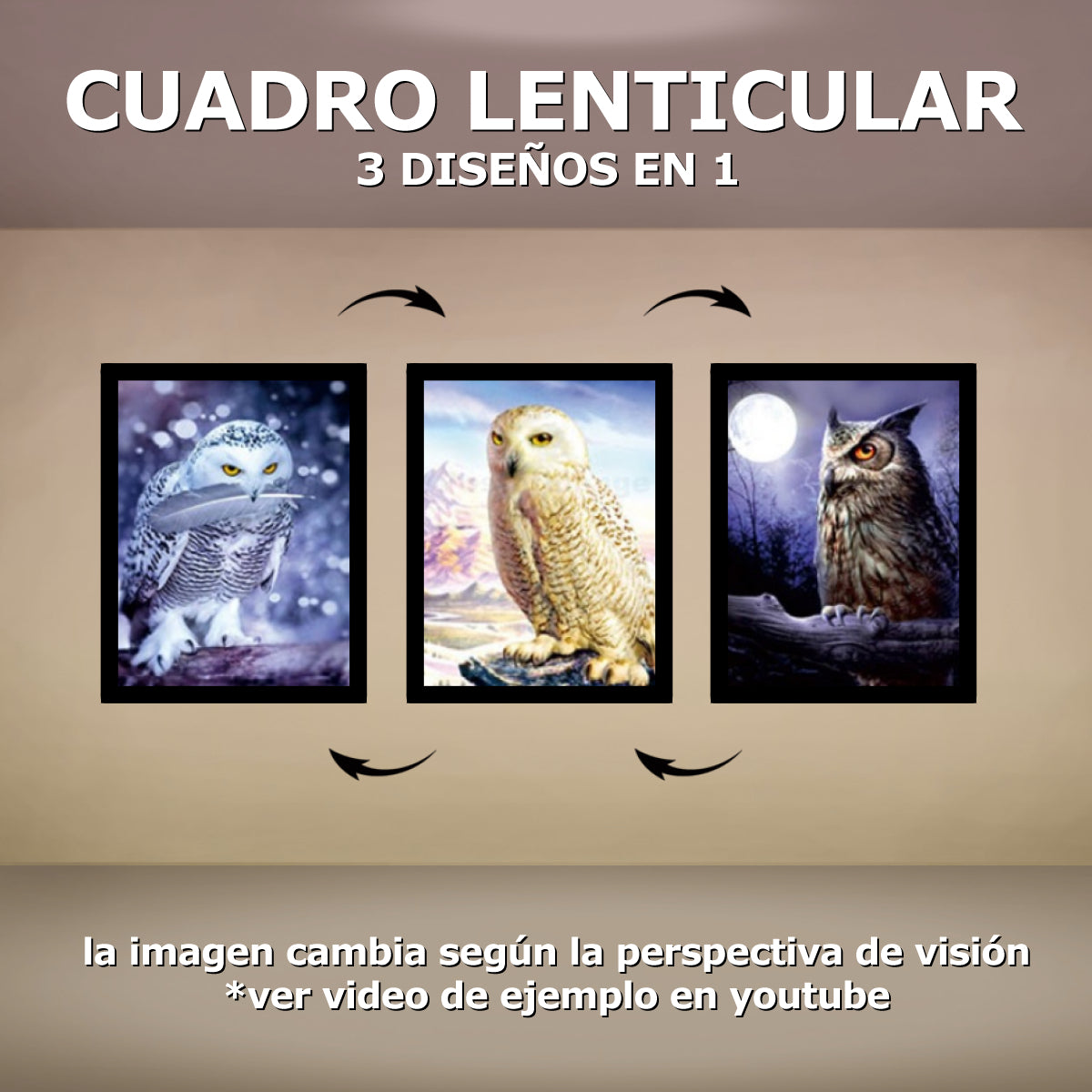 Cuadro Lenticular Estandar A Granel (Incluye Poster Lenticular + Marco) No Incluye Caja Individual